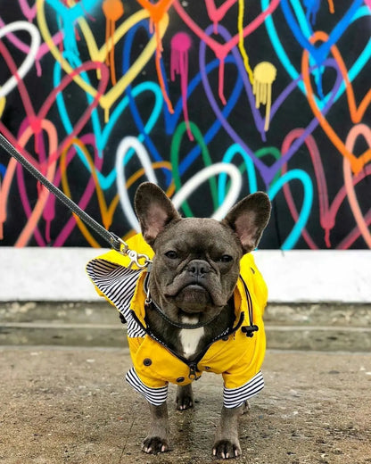 Dog Raincoat Pet Clothes Dog Clothes Rain Water