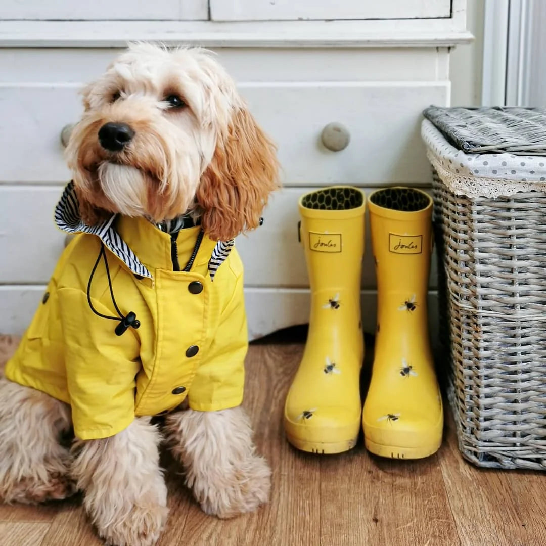 Dog Raincoat Pet Clothes Dog Clothes Rain Water
