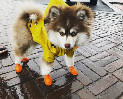 Dog Raincoat Pet Clothes Dog Clothes Rain Water