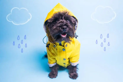 Dog Raincoat Pet Clothes Dog Clothes Rain Water