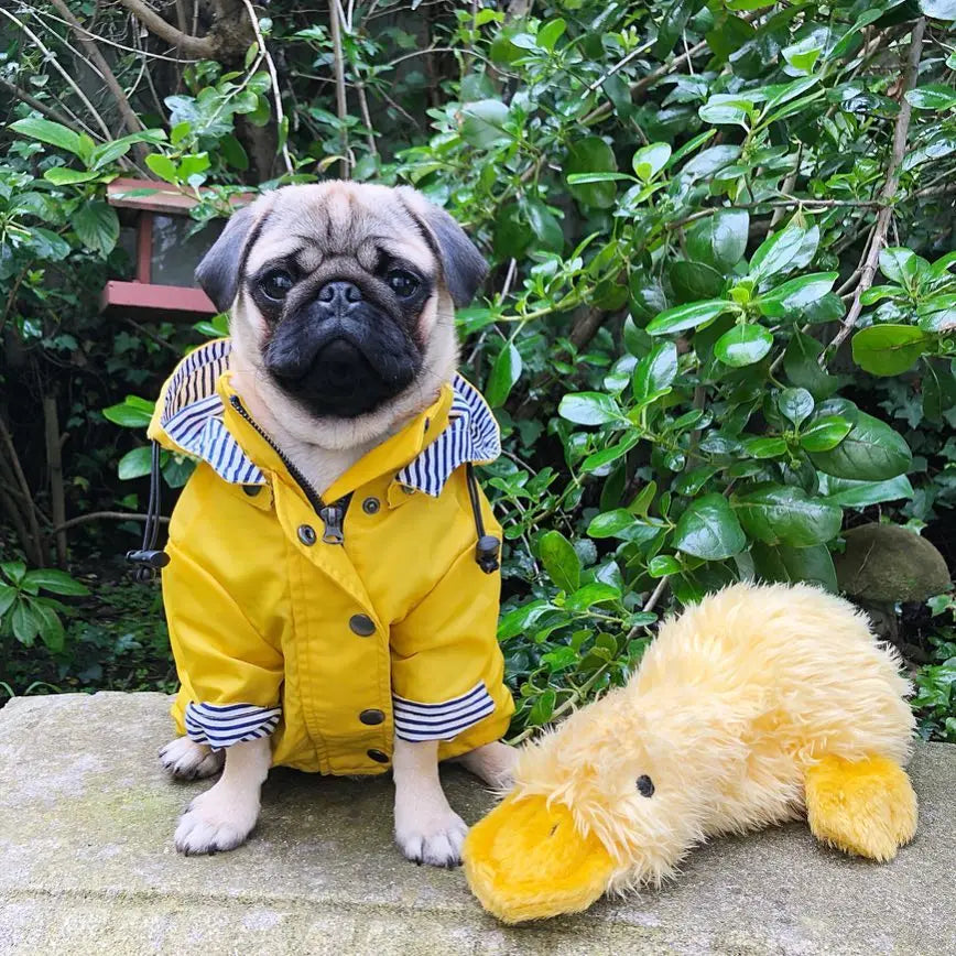 Dog Raincoat Pet Clothes Dog Clothes Rain Water